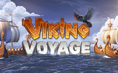 Viking Voyage